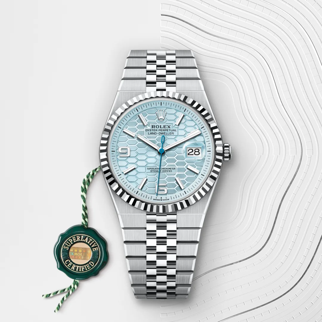 Rolex Land-Dweller 36 Ice Blue