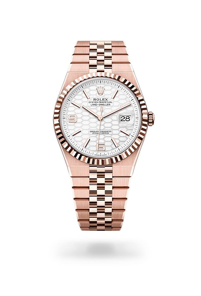 Rolex Land-Dweller 40 Intense White