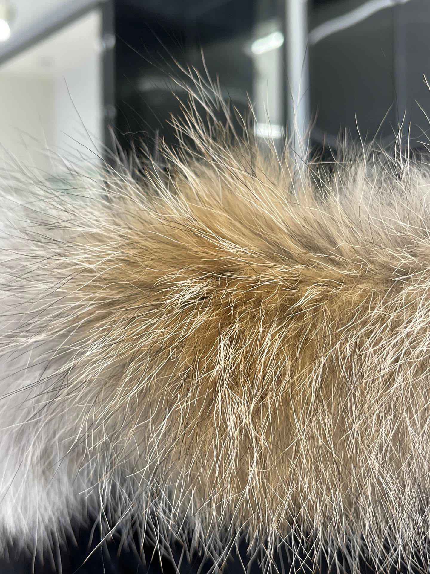 Shelburne Parka Black