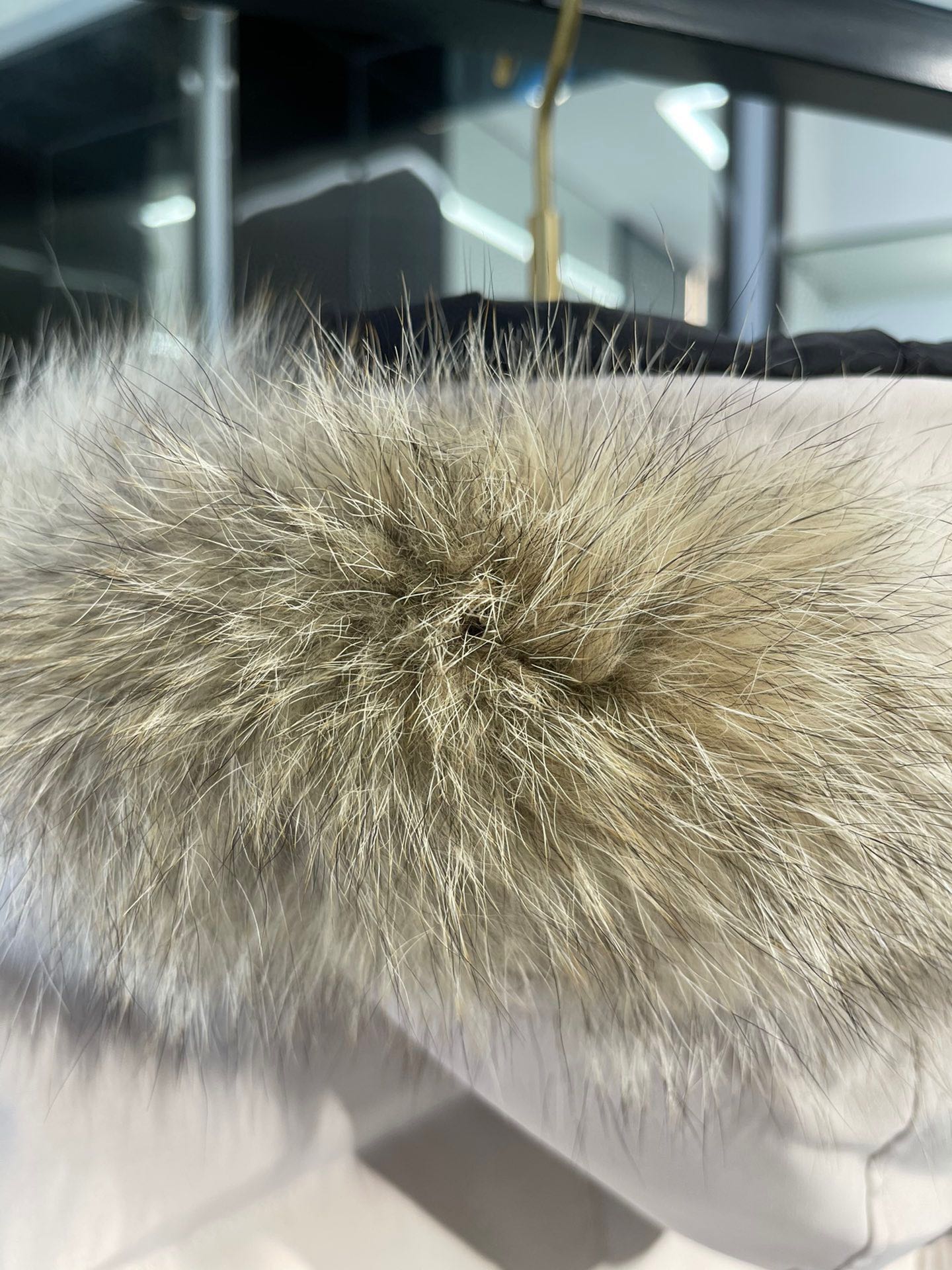 Shelburne Parka Beige