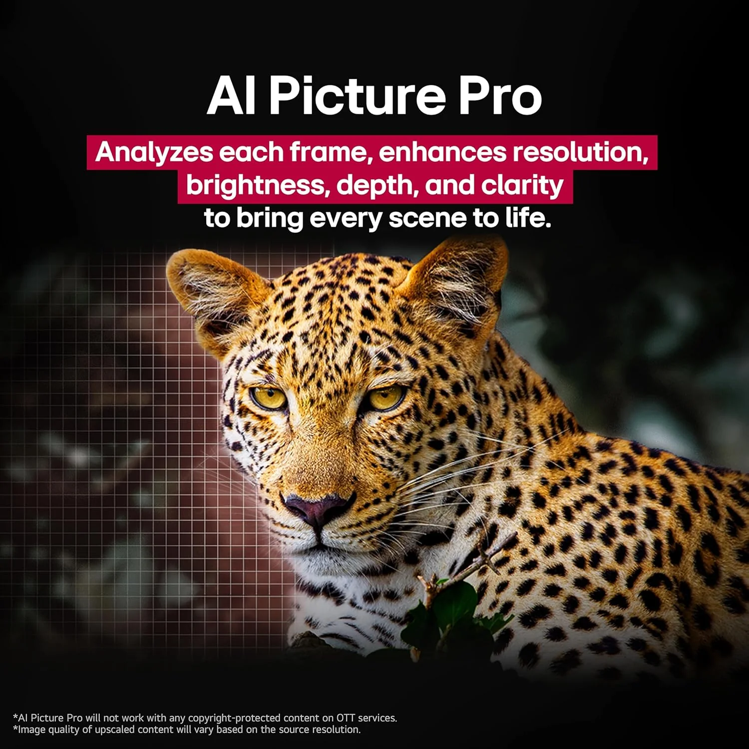 LG 83-Inch Class OLED AI 4K B5 Series Smart TV w/Dolby Atmos, Dolby Vision, HDR10, AI Super Upscaling 4K, Filmmaker Mode, Wow Orchestra, Alexa Built-in (OLED83B5PUA, 2025)