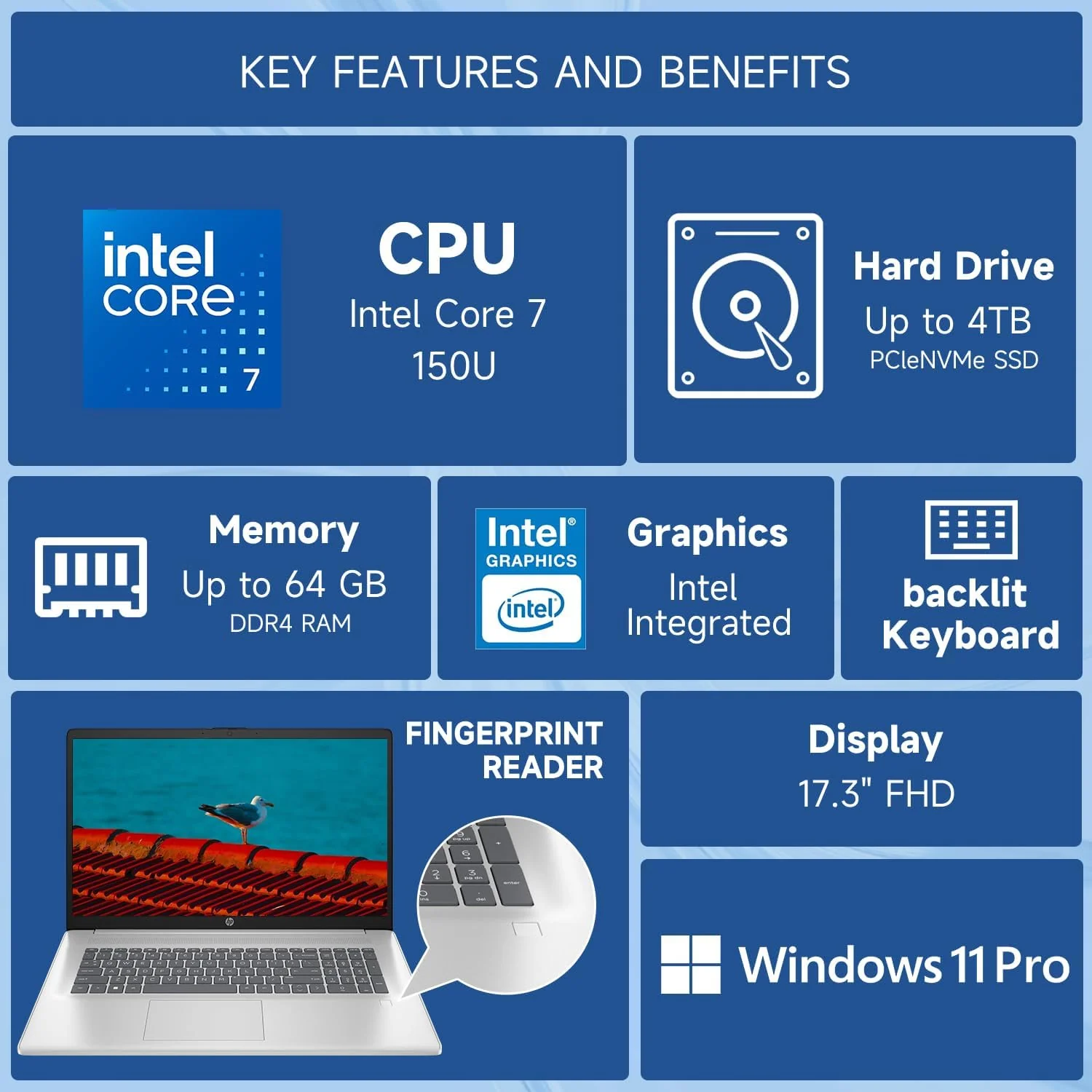 HP 2025 Laptop, 17.3