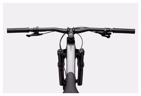 Cannondale Habit 3 29'' Sram NX Eagle 12V Grey All-Suspension Mountain Bike