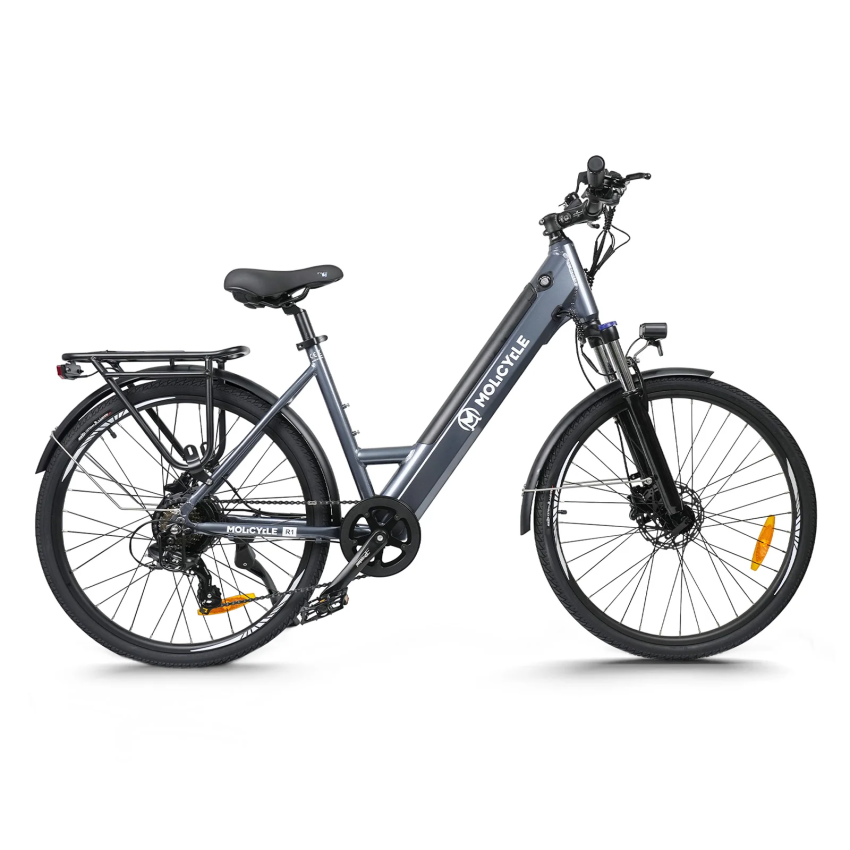 Molicycle R1 250W 26" E-bike Trekking Elektrofahrrad 14,5Ah