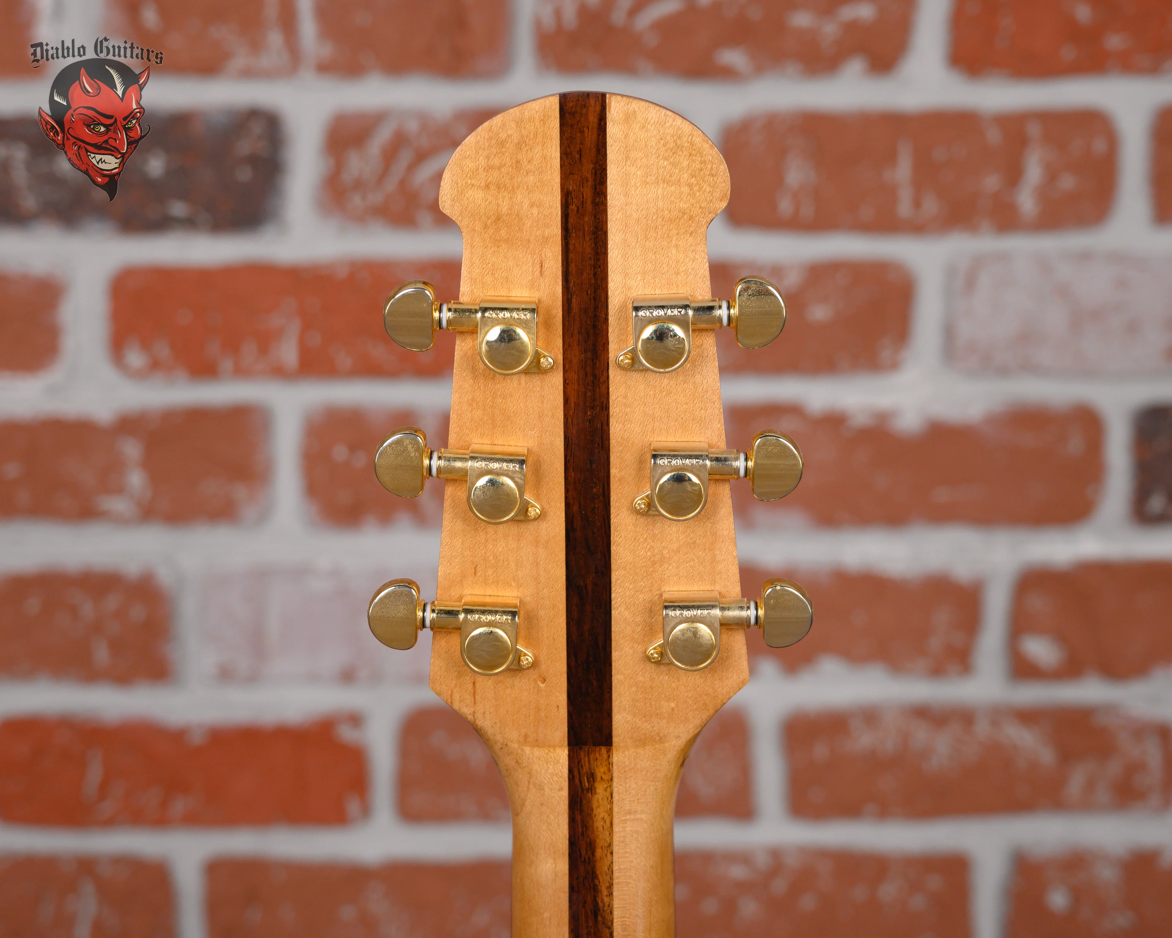 Blueberry Semi-Hollow Dragon Natural 2022 w/Gigbag