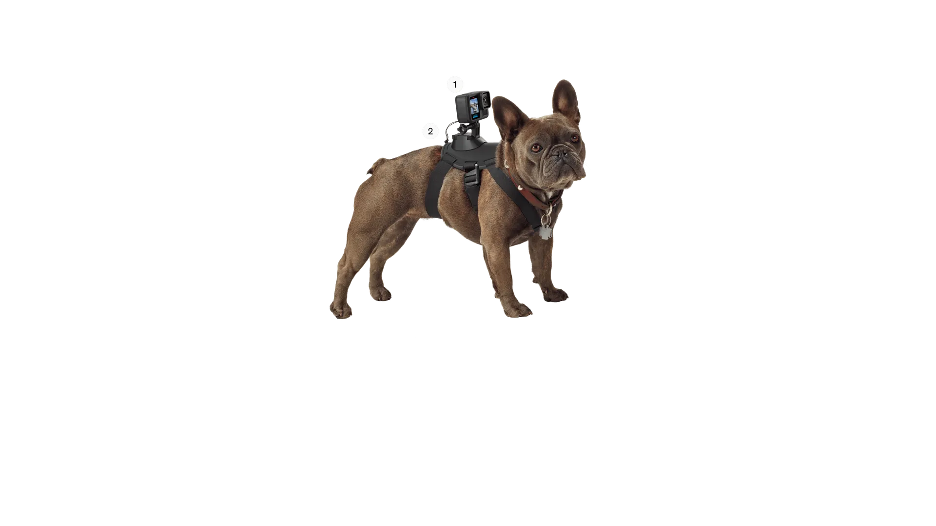 HERO13 Black Pets Bundle