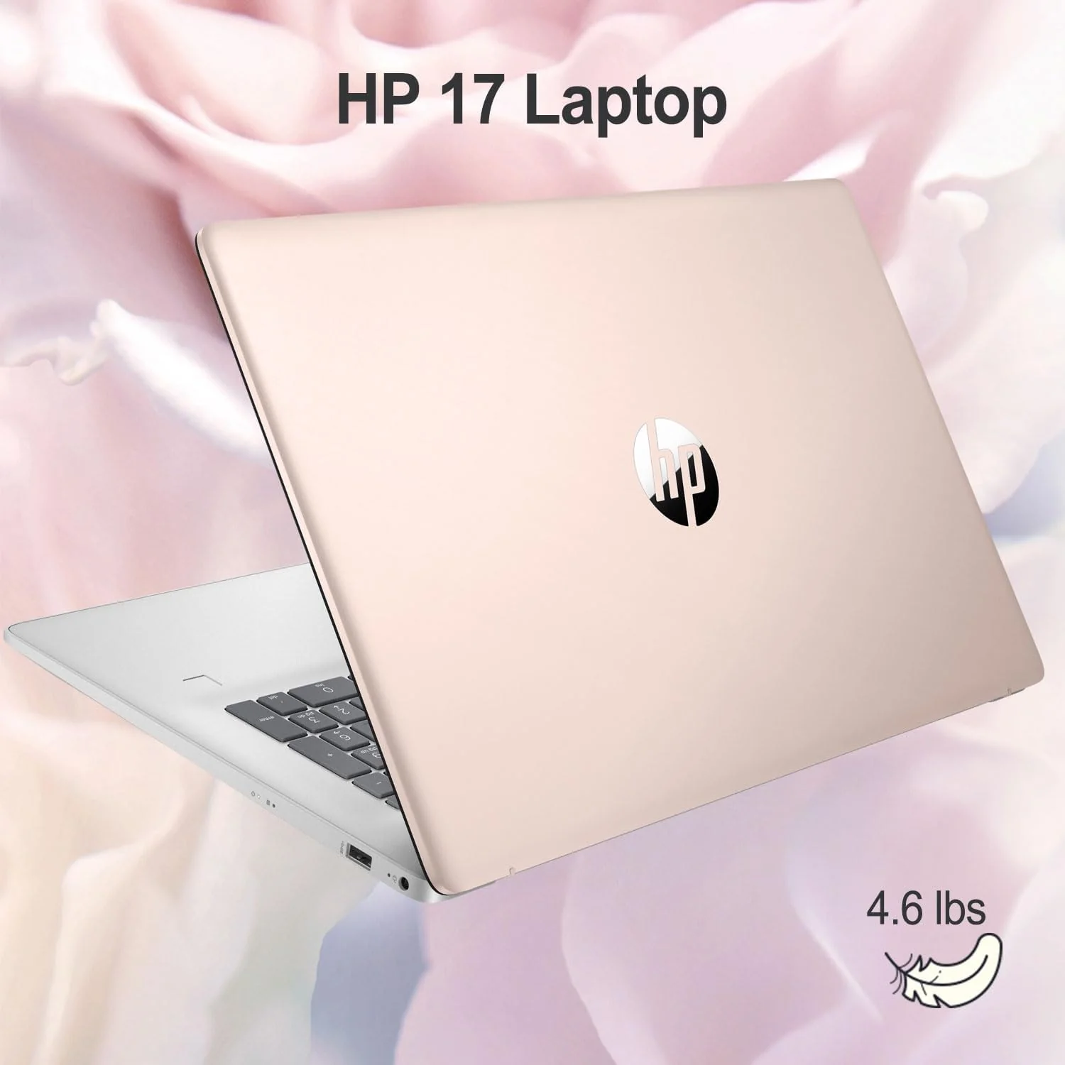 HP Premium 17.3