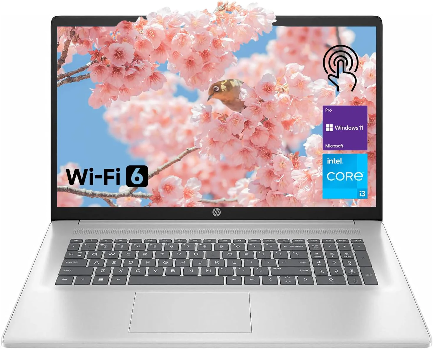 HP High-Performance 17.3