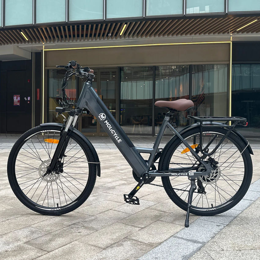 Molicycle R1 250W 26" E-bike Trekking Elektrofahrrad 14,5Ah