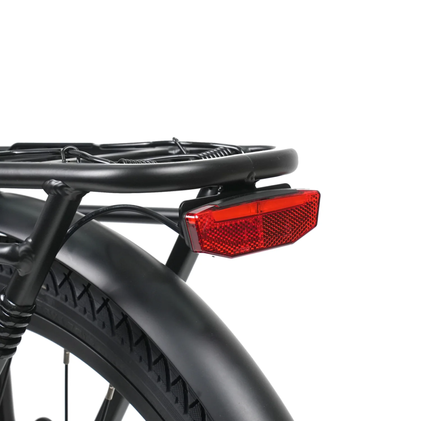 Molicycle R1 250W 26" E-bike Trekking Elektrofahrrad 14,5Ah