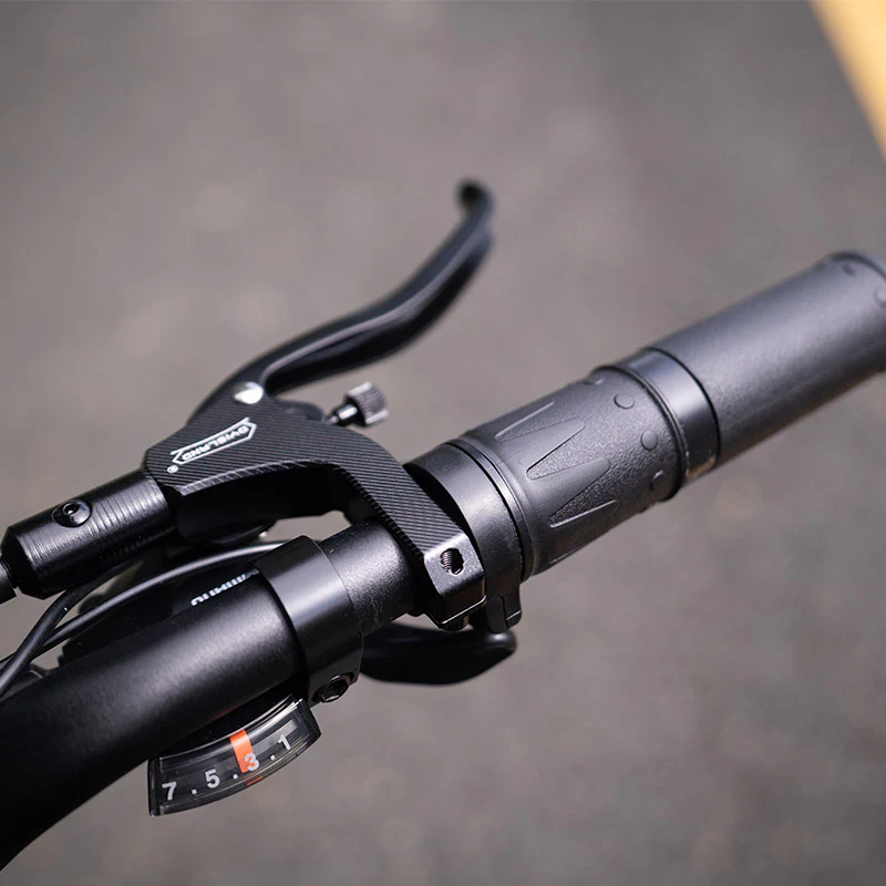 Lankeleisi RX800 Plus 1000W 20" Fatbike Full Suspension Electric Bike 48V 20Ah Samsung Battery SUV E-Bike