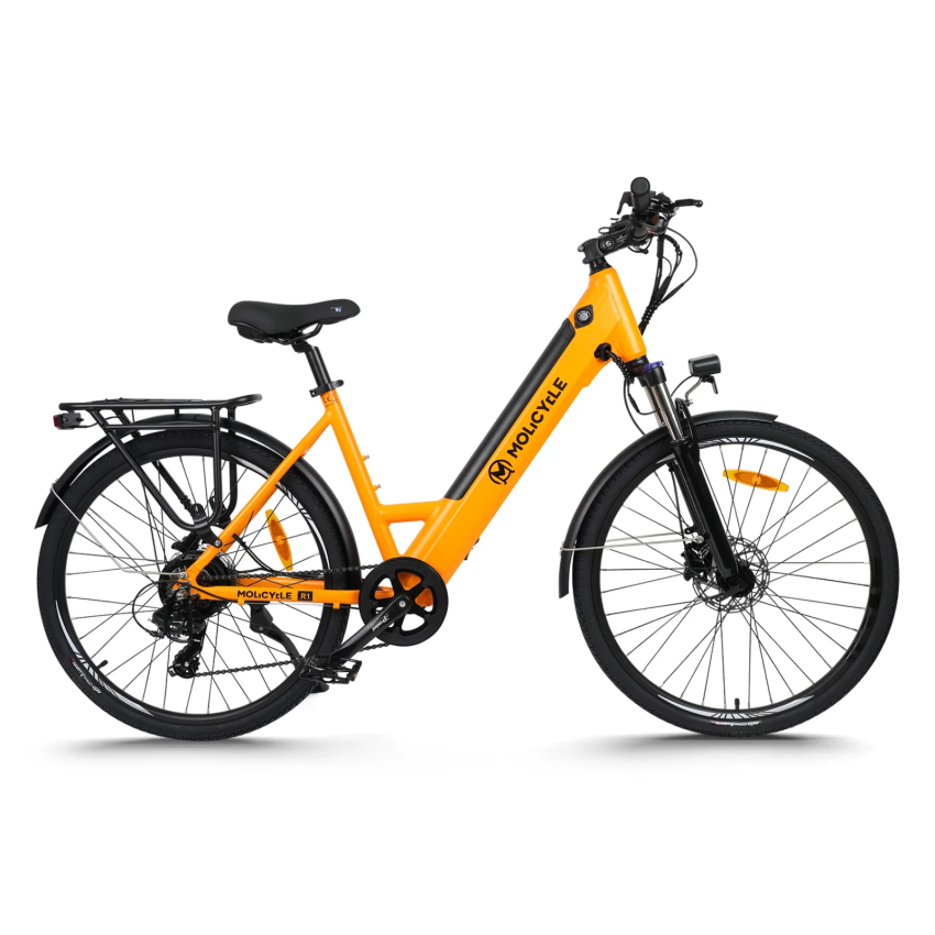 Molicycle R1 250W 26" E-bike Trekking Elektrofahrrad 14,5Ah