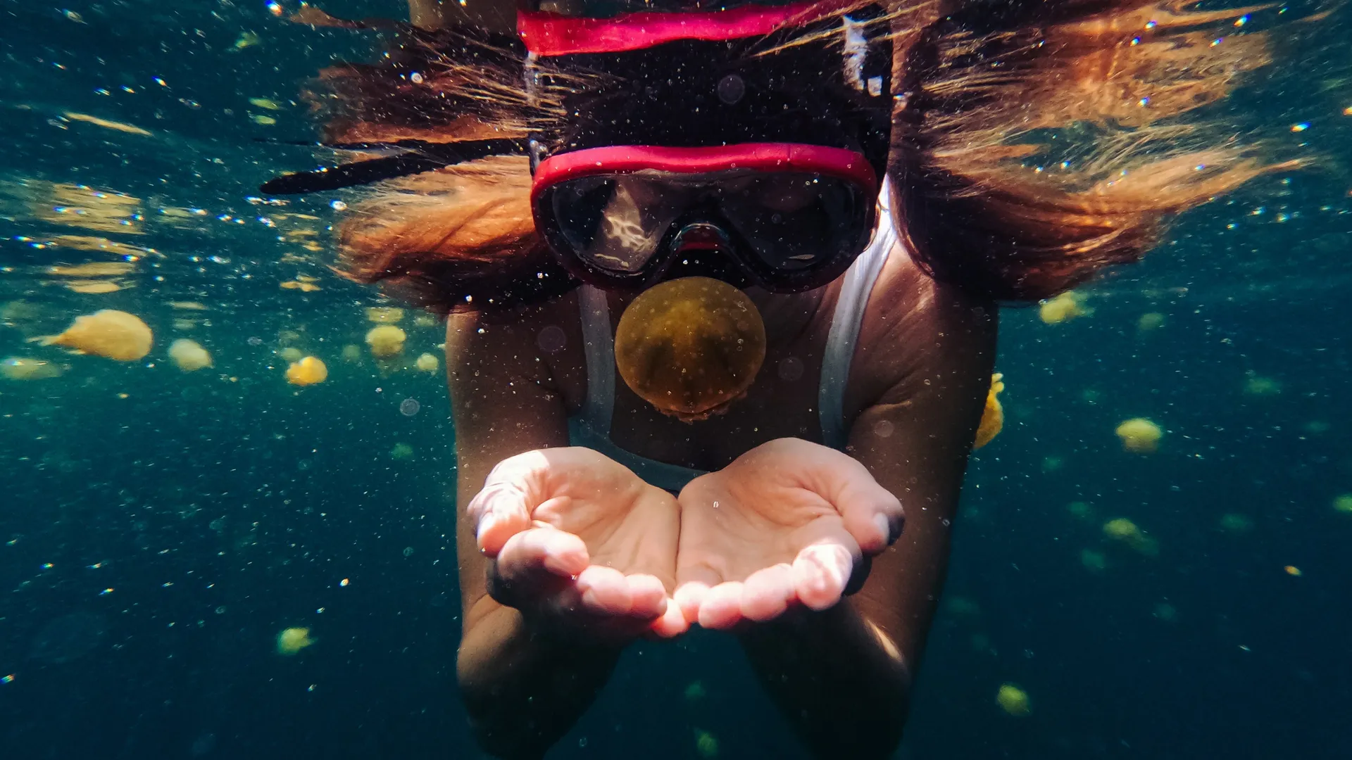 HERO Swim + Snorkel Bundle