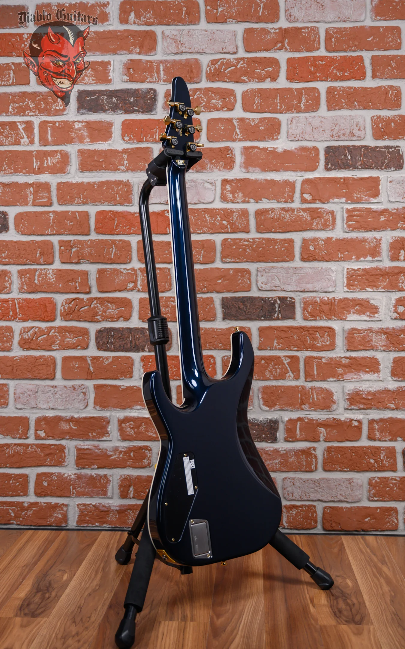 ESP Original Series Horizon PT/ NT Tanzanite 2024 w/OHSC