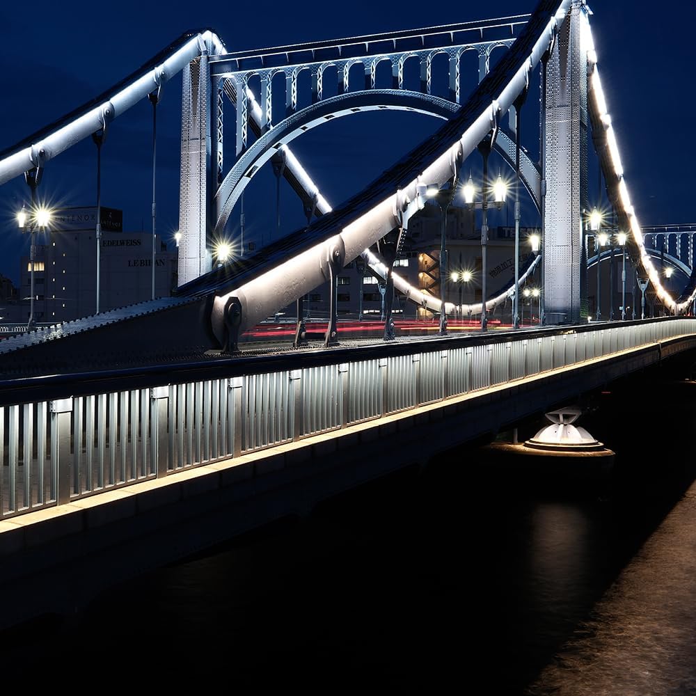 Fujifilm X100VI APS-C Mirrorless Camera 40.2 MP