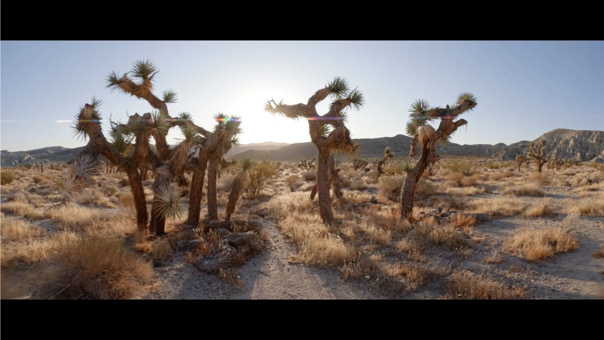 HERO13 Black Anamorphic Lens Mod Bundle