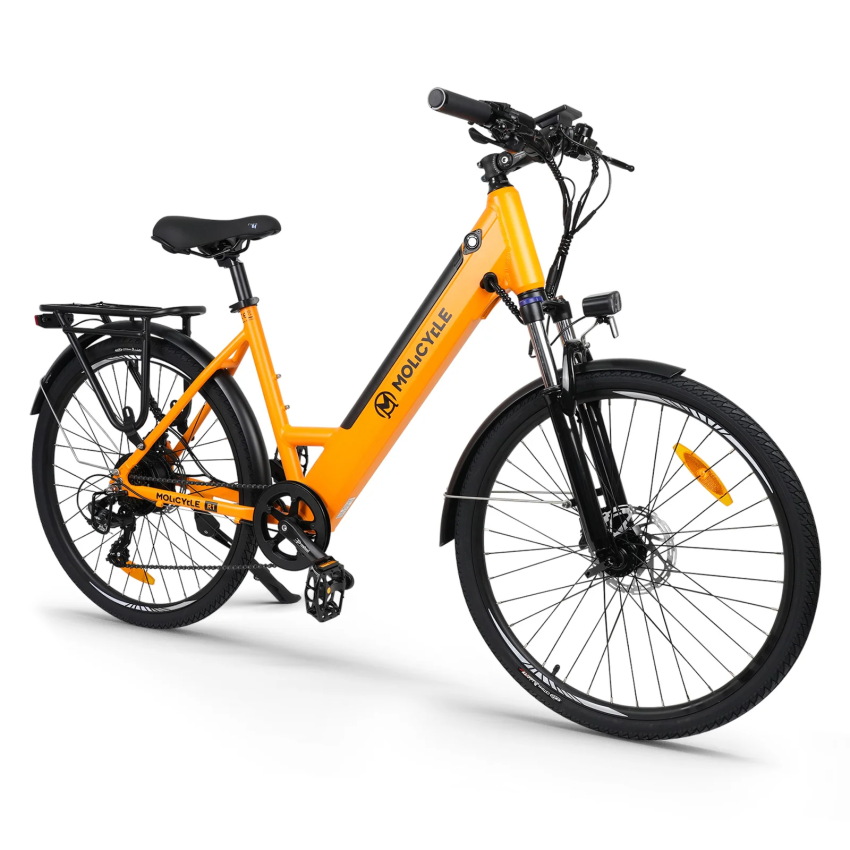 Molicycle R1 250W 26" E-bike Trekking Elektrofahrrad 14,5Ah