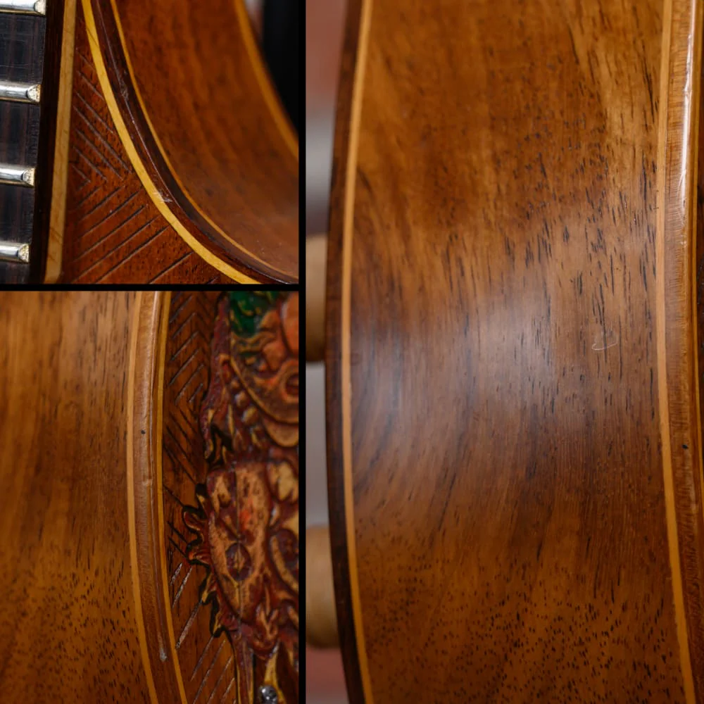 Blueberry Semi-Hollow Dragon Natural 2022 w/Gigbag