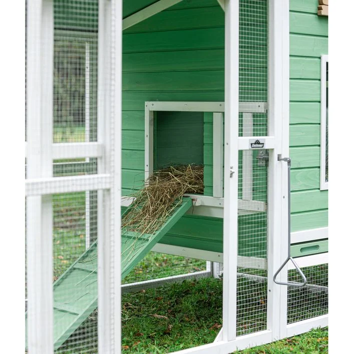 Dehner Lieblinge Hühnerstall Lotti, hellgrün, ca. B182/H119,5/T91 cm