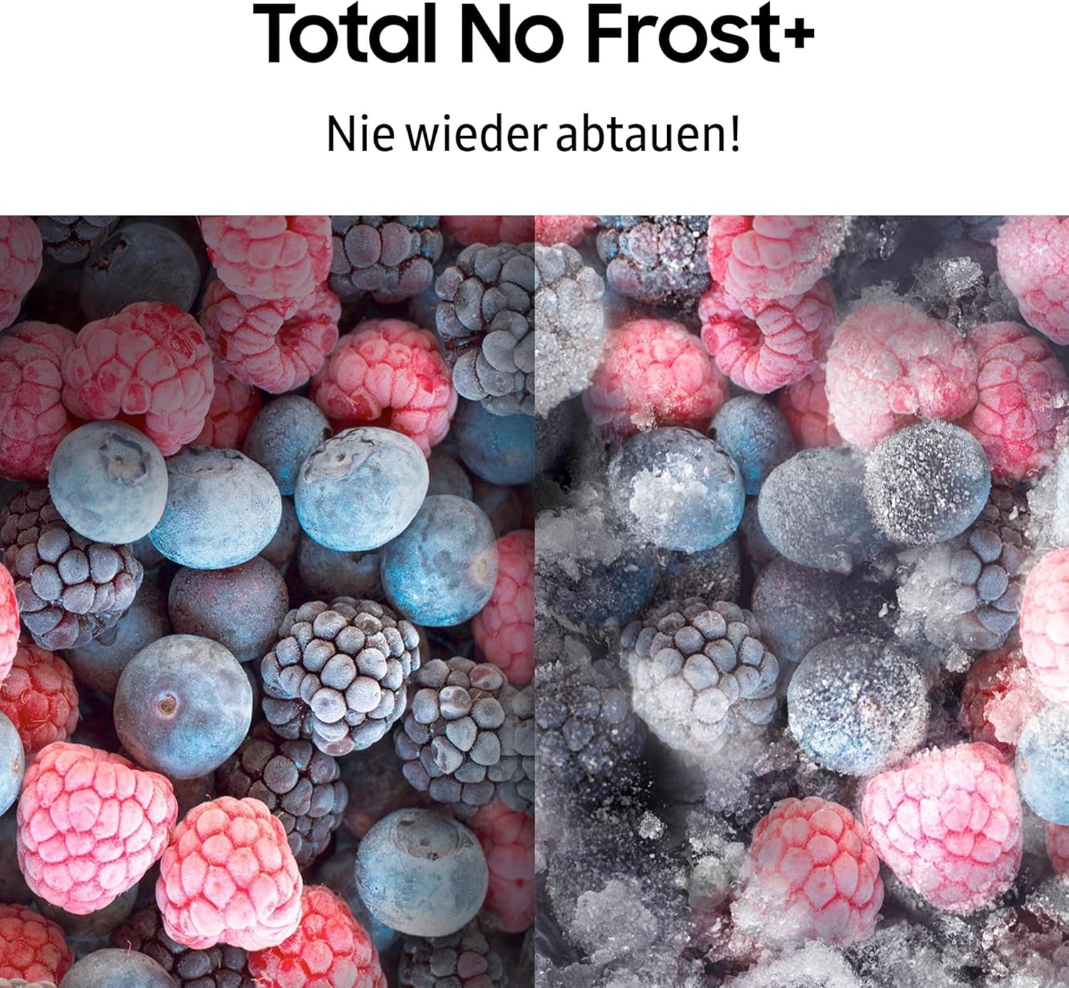 Samsung French Door RF50C530ES9