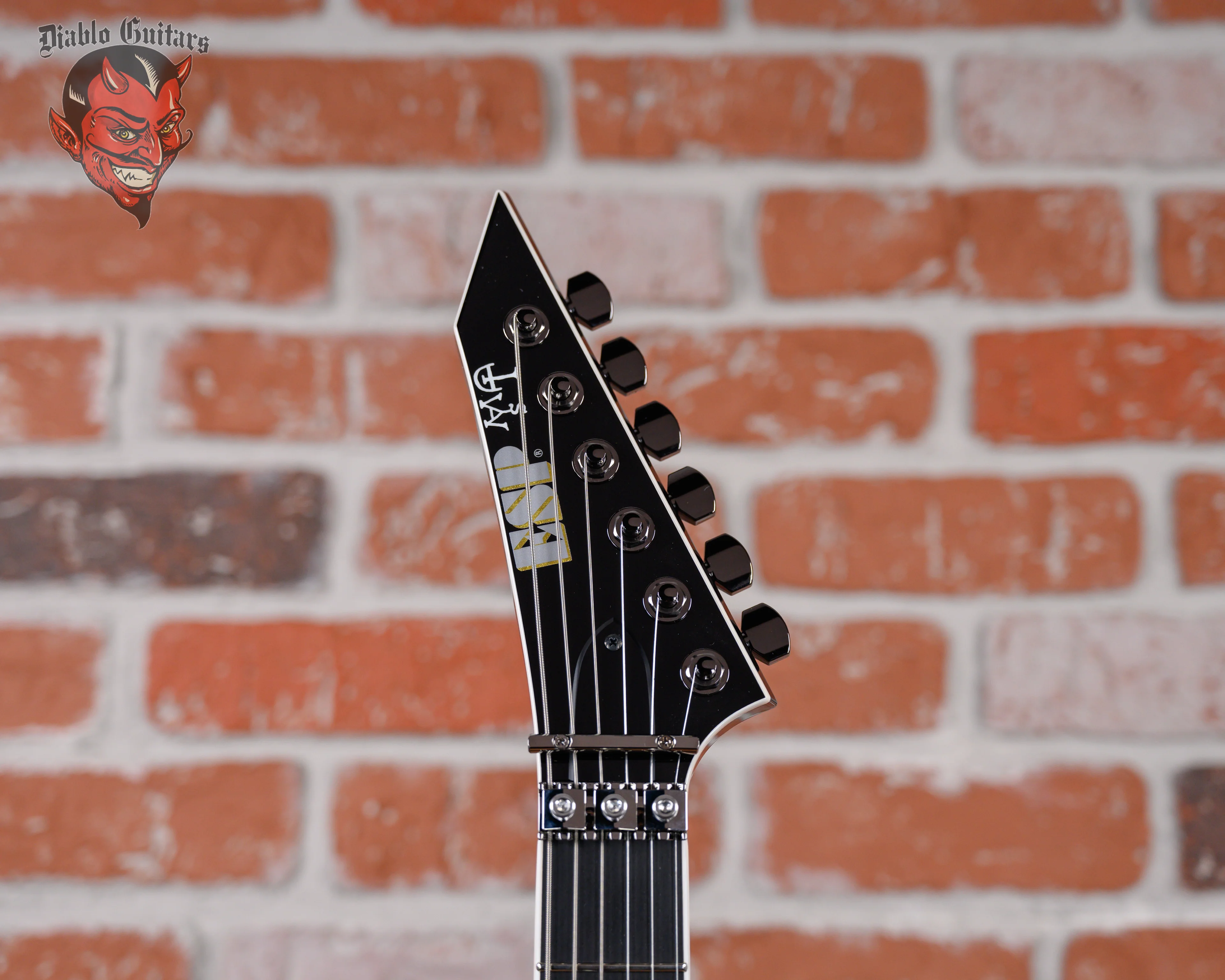 ESP Custom Shop Sammy Duet Signature Arch Top RS FR Black 2025 w/OHSC