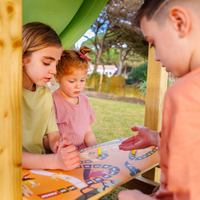 Disney's The Lion King Story climbing frame by Wickey