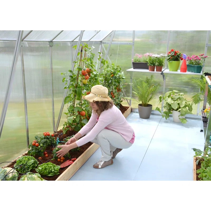 Palram - Canopia Essence 95.4 in W Hobby Greenhouse  ( 91