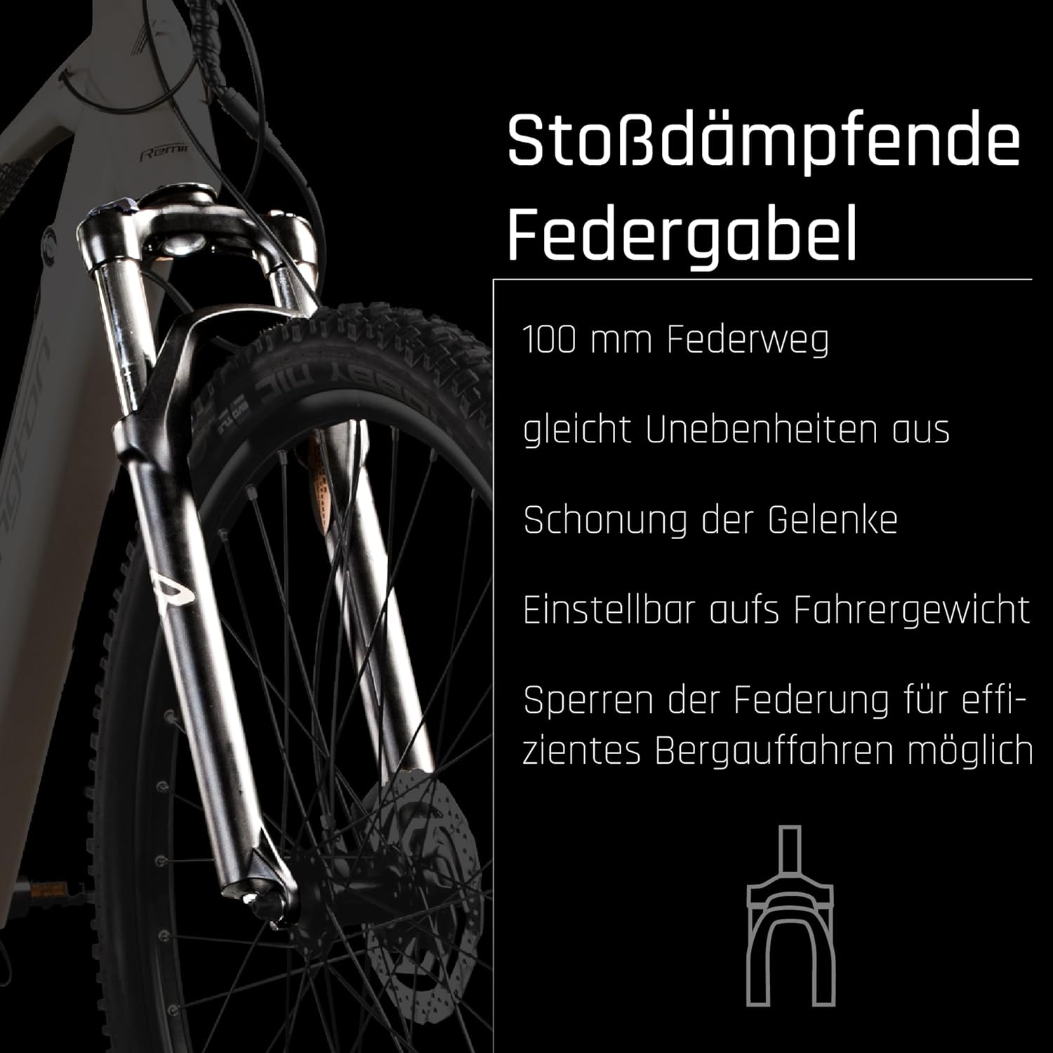 Remington XR01 E Bike