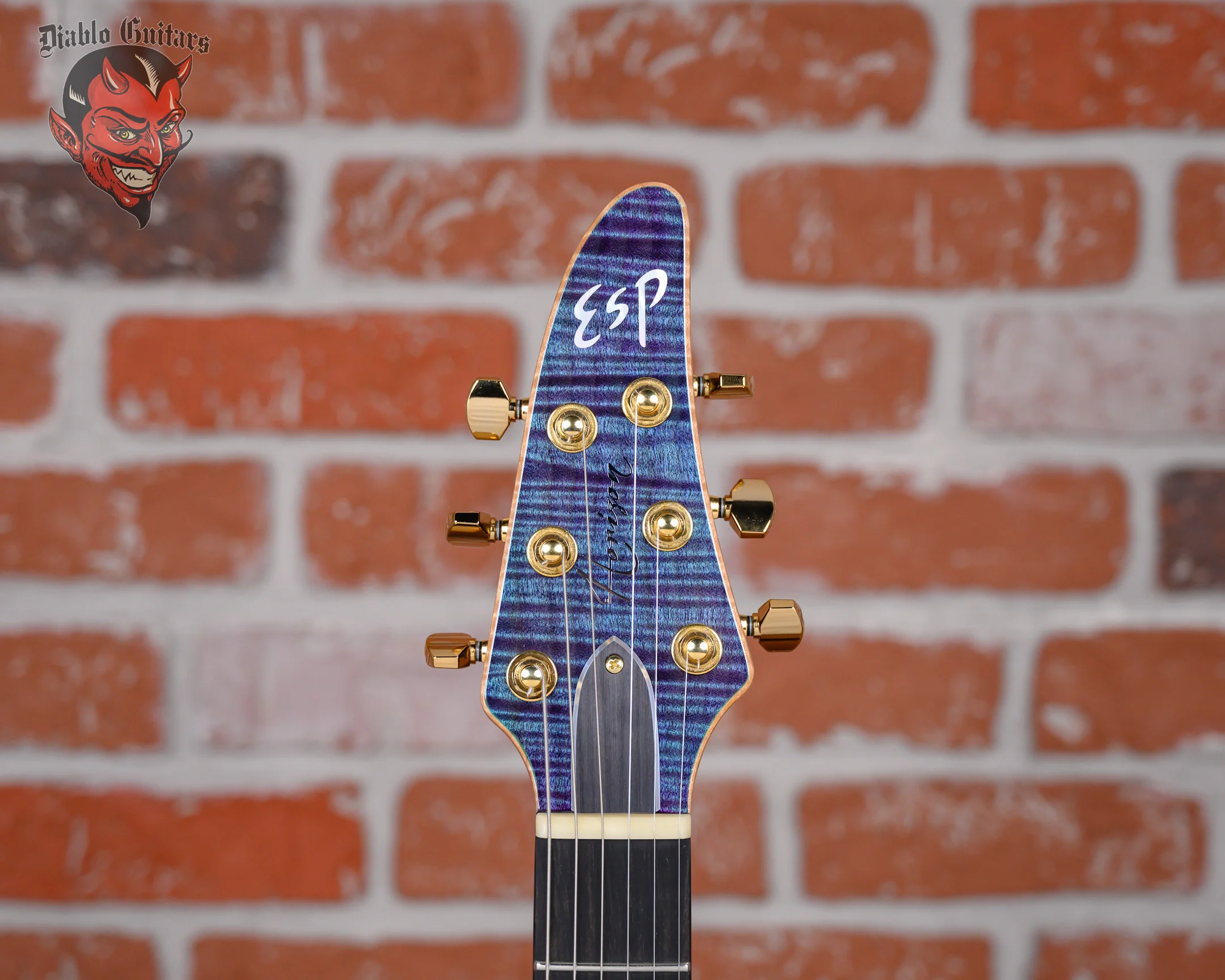 ESP Custom Shop CTM NT FM Horizon Flame Maple Top Indigo Purple 2024 w/OHSC
