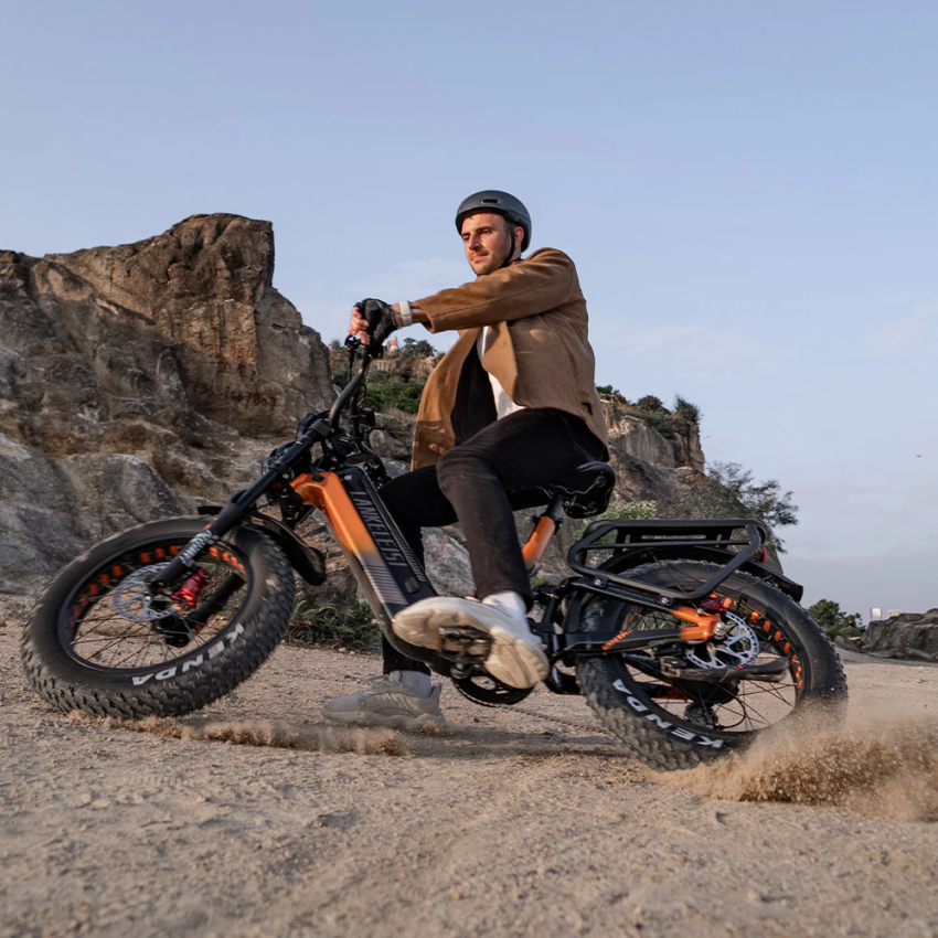 Lankeleisi RX800 Plus 1000W 20" Fatbike Full Suspension Electric Bike 48V 20Ah Samsung Battery SUV E-Bike