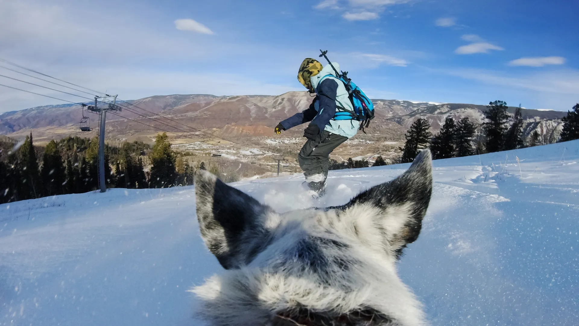 HERO13 Black Pets Bundle