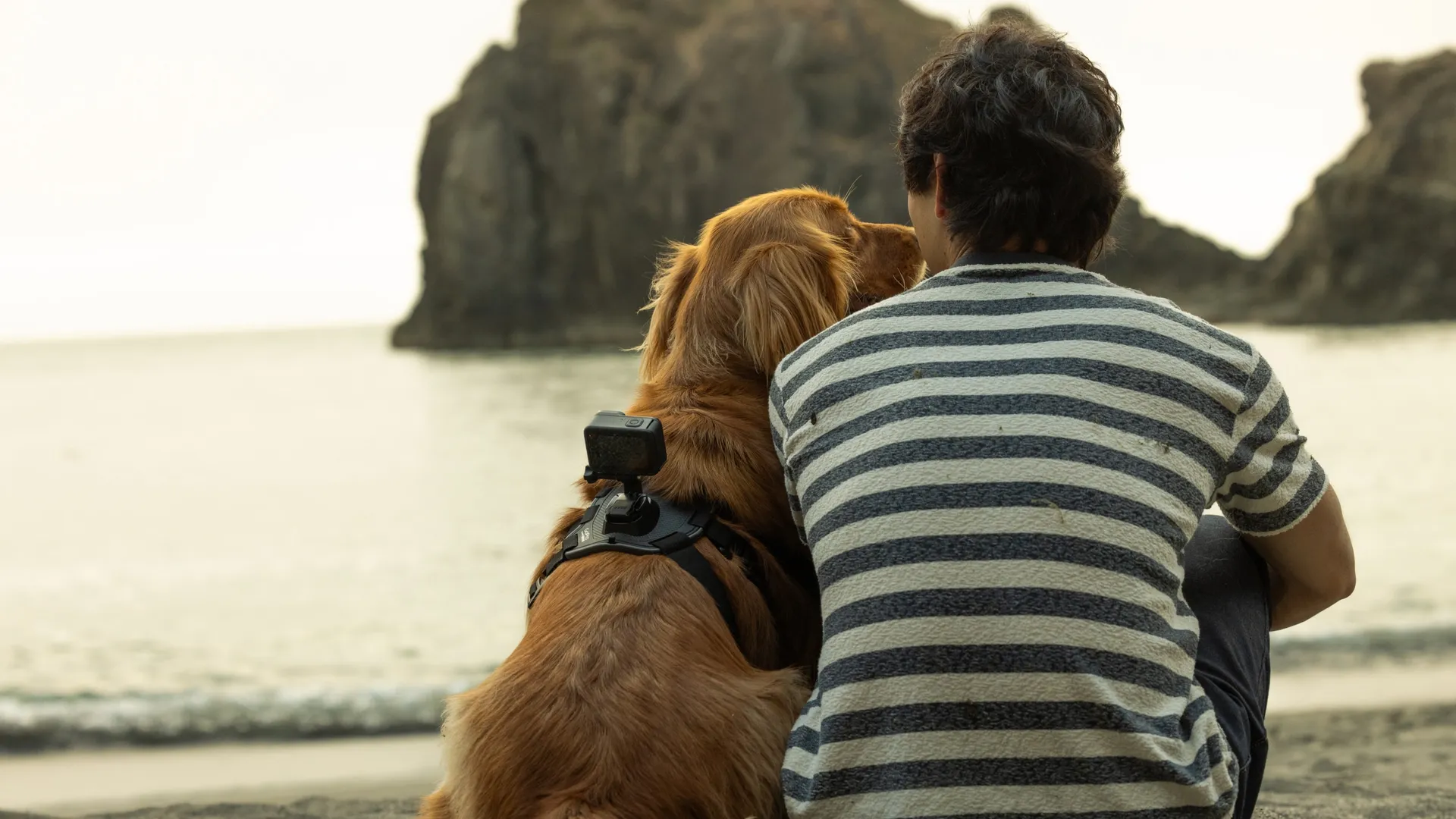 HERO13 Black Pets Bundle