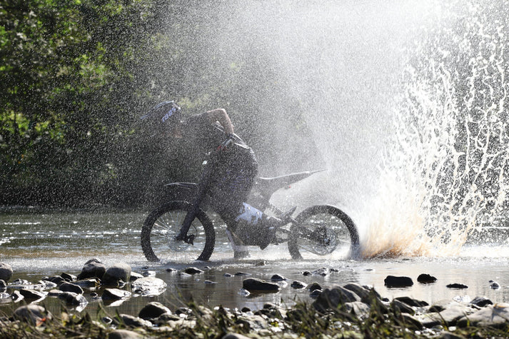 2025 E Ride Pro S (16