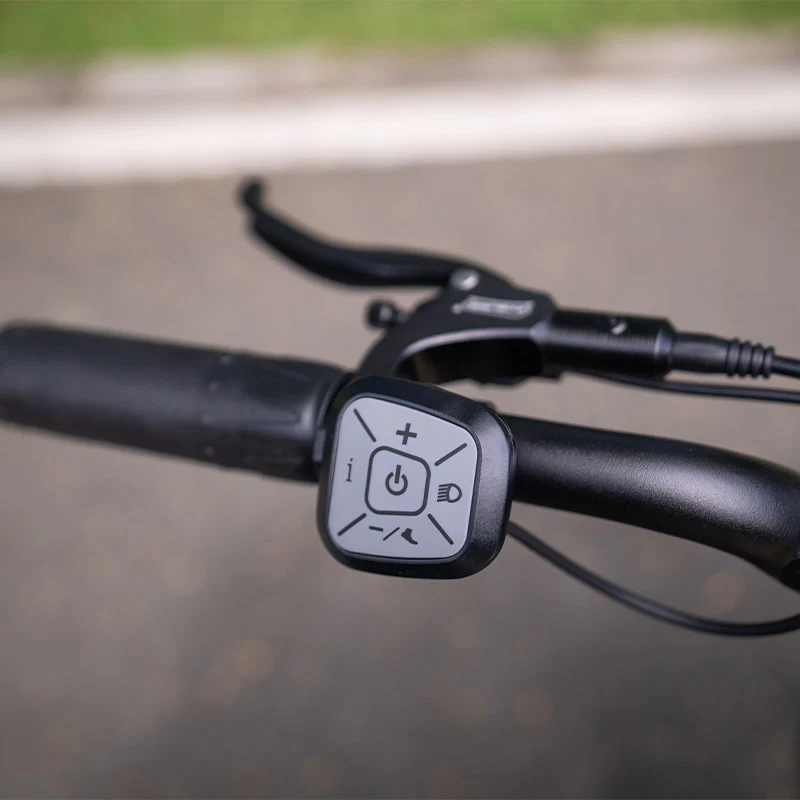 Lankeleisi RX800 Plus 1000W 20" Fatbike Full Suspension Electric Bike 48V 20Ah Samsung Battery SUV E-Bike