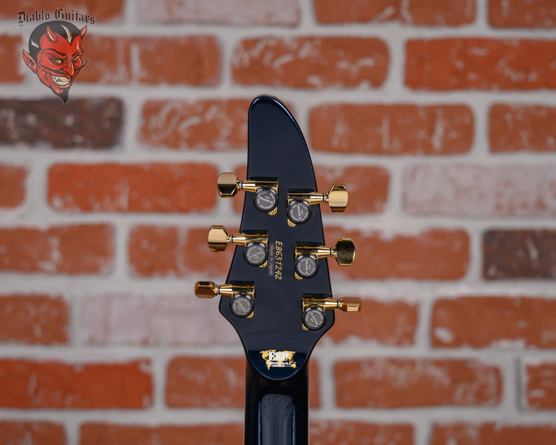 ESP Original Series Horizon PT/ NT Tanzanite 2024 w/OHSC