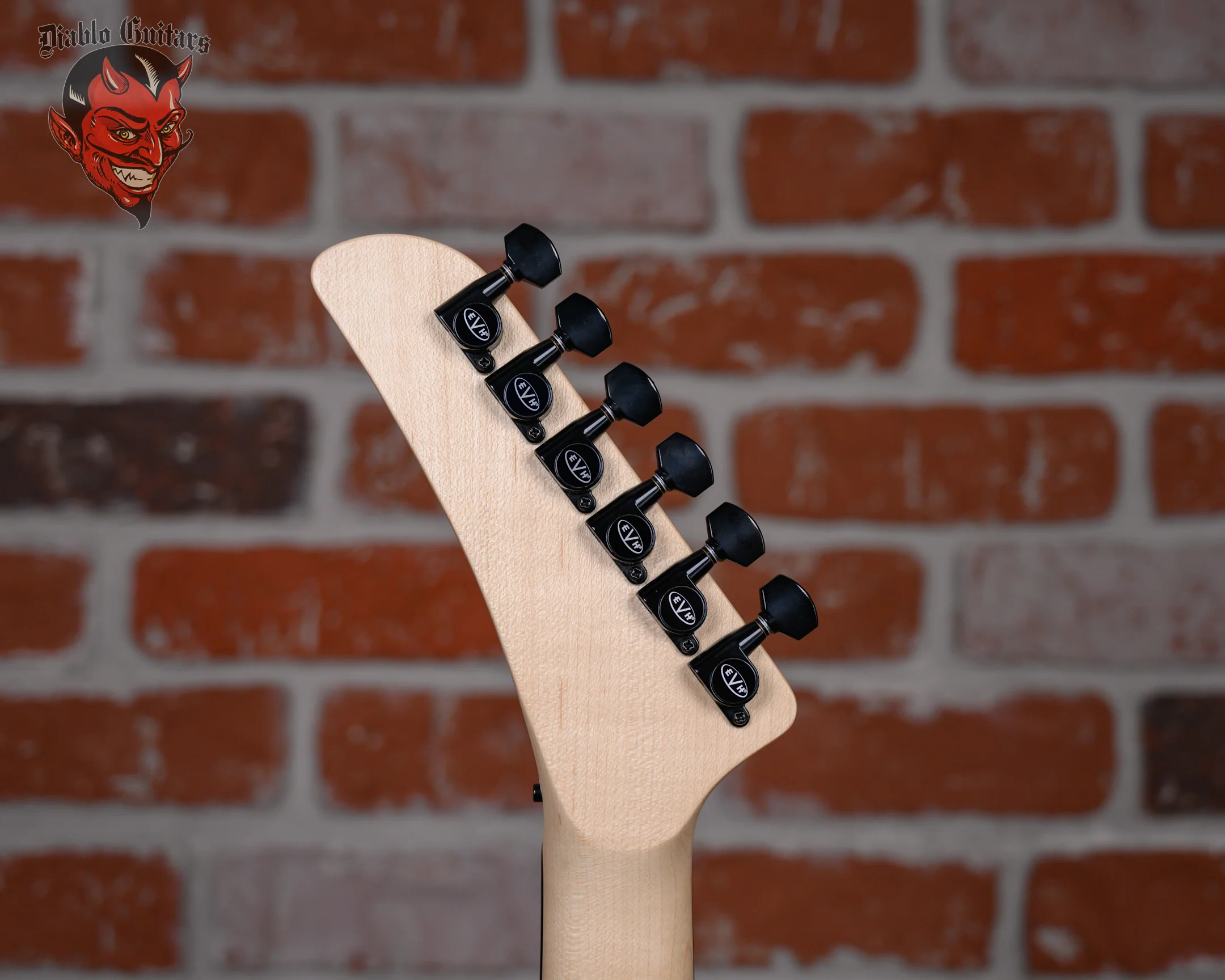 EVH Limited Edition Star T.O.M Stealth Black 2024 w/Gigbag