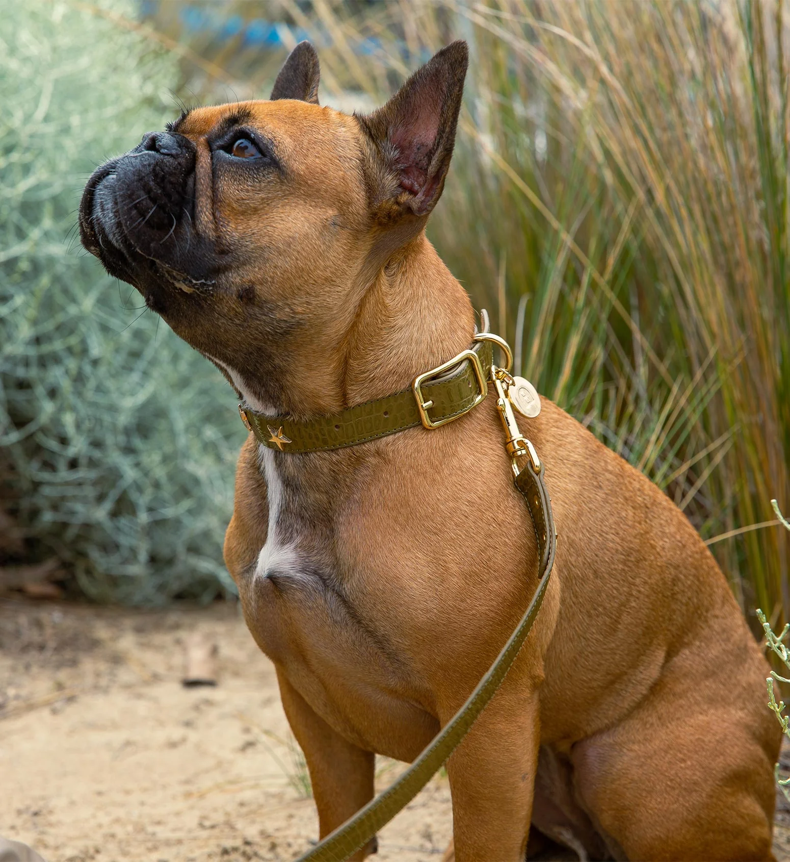 Dog Collar & Lead Green Croc Emboss Leather
