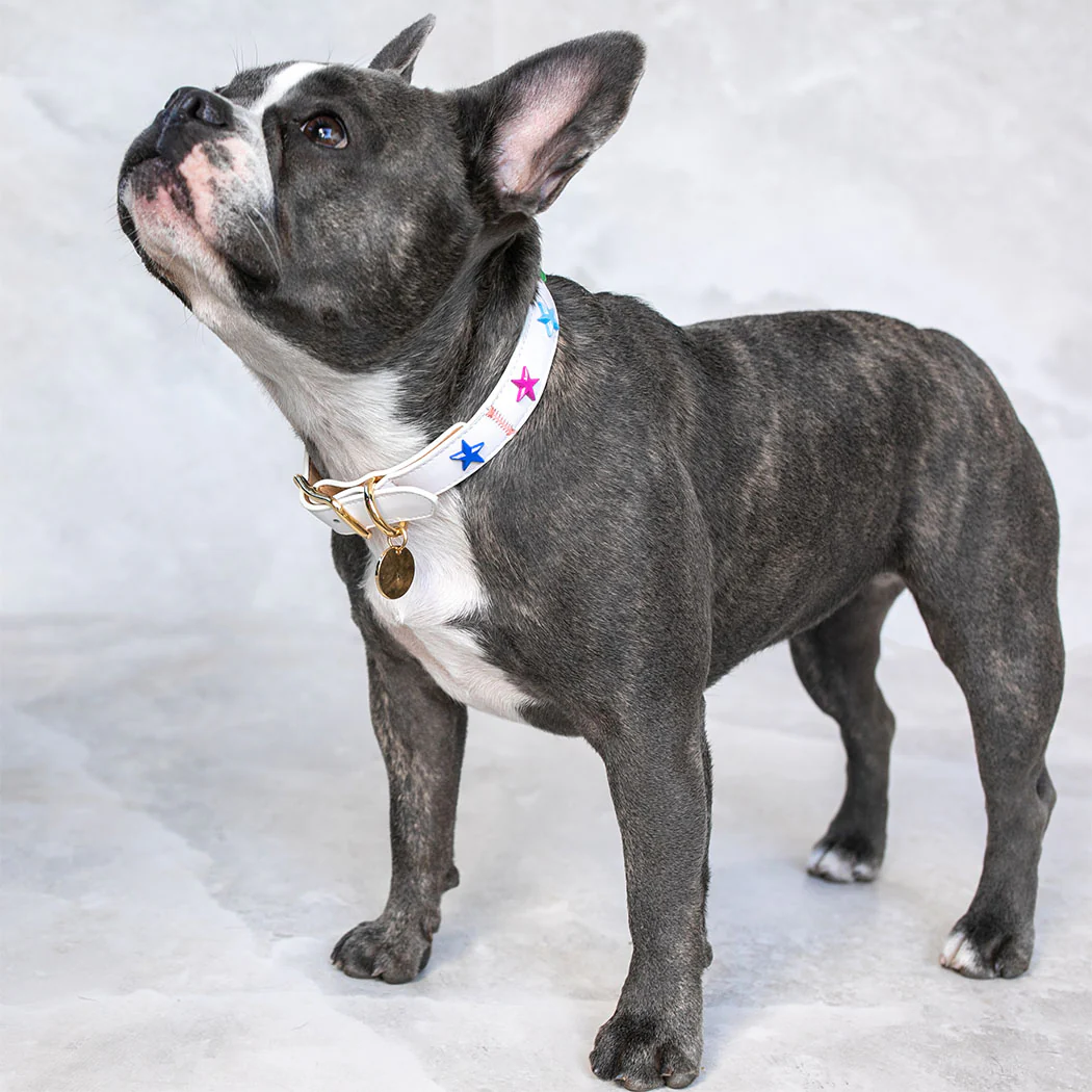 Dog Collar White Leather