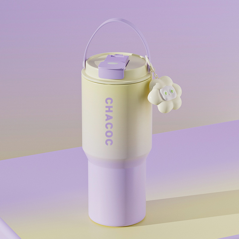 Insulated Water Bottle with Handle