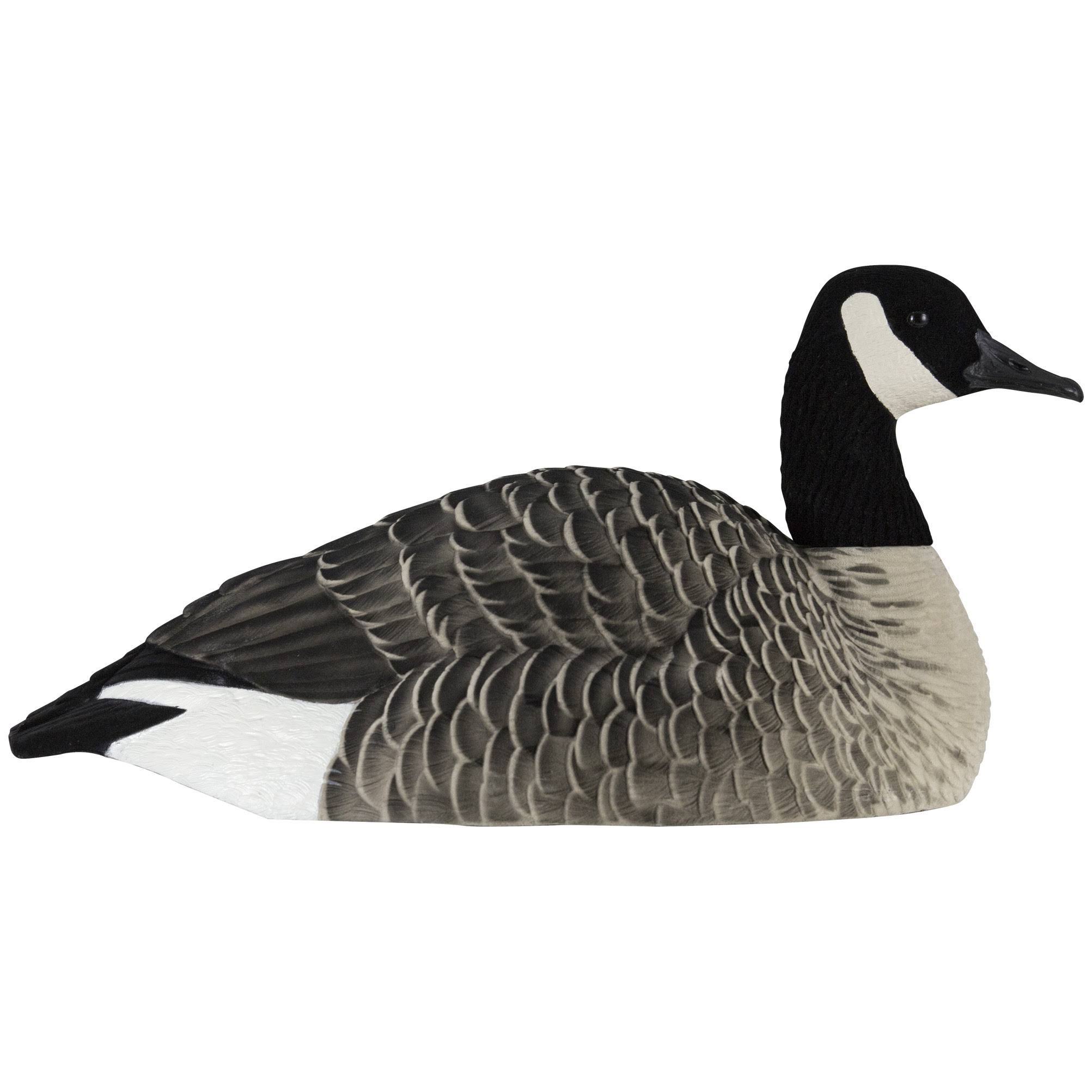 Avian-X AXP Honker Shell Decoys 6 Pack
