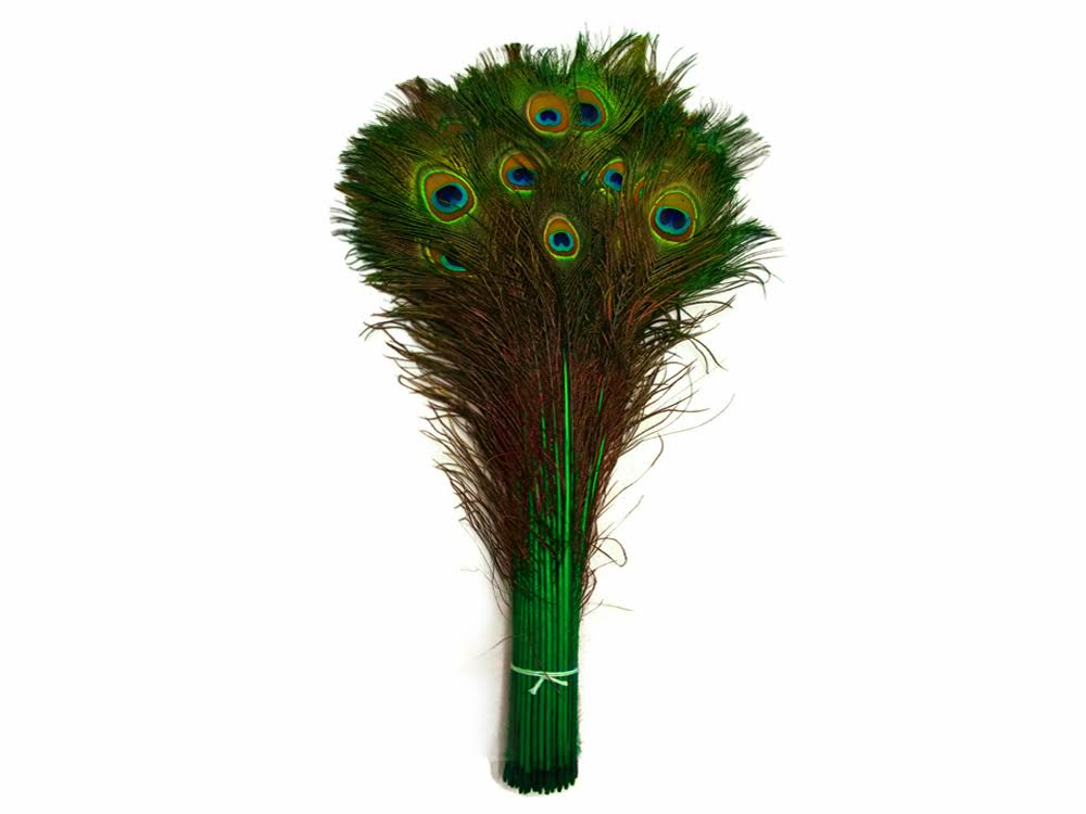 100 Pieces - 20-25x22 Kelly Green Dyed Over Natural Peacock Tail Eye Wholesale Feathers (Bulk)