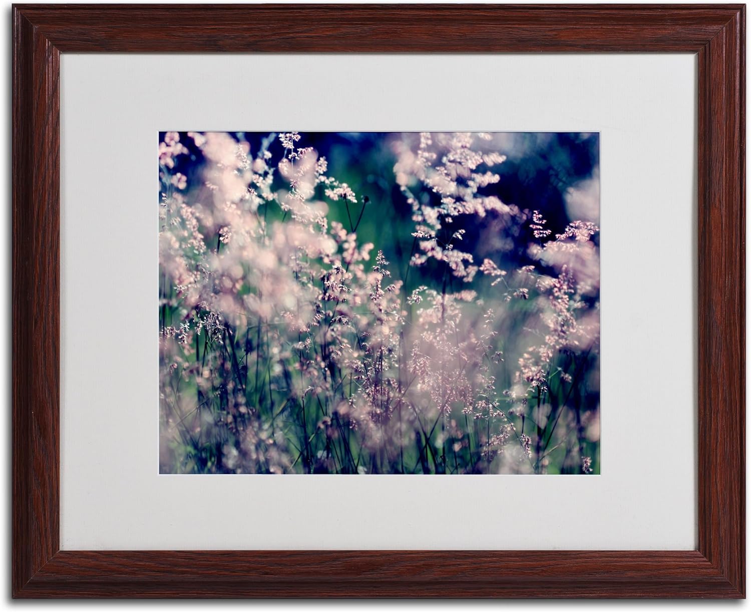 Sweet Emotions Artwork by Beata Czyzowska Young, 16 by 20-Inch, Wood Frame Pack of 2