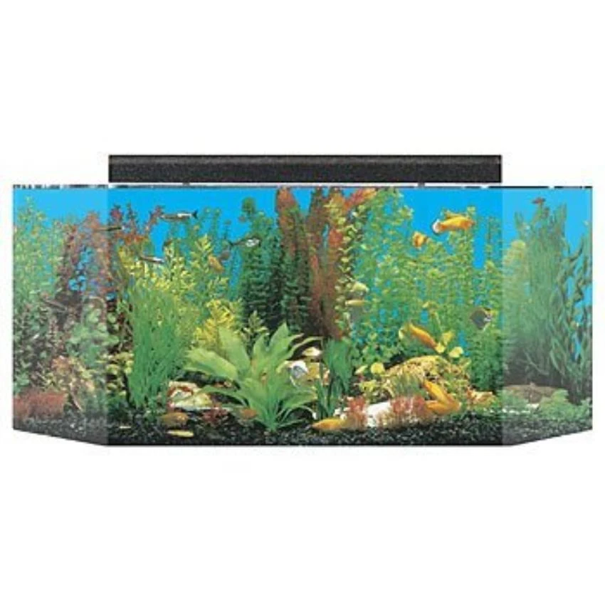 SeaClear 26 Gallon Flat Back Hexagon Aquarium Tank