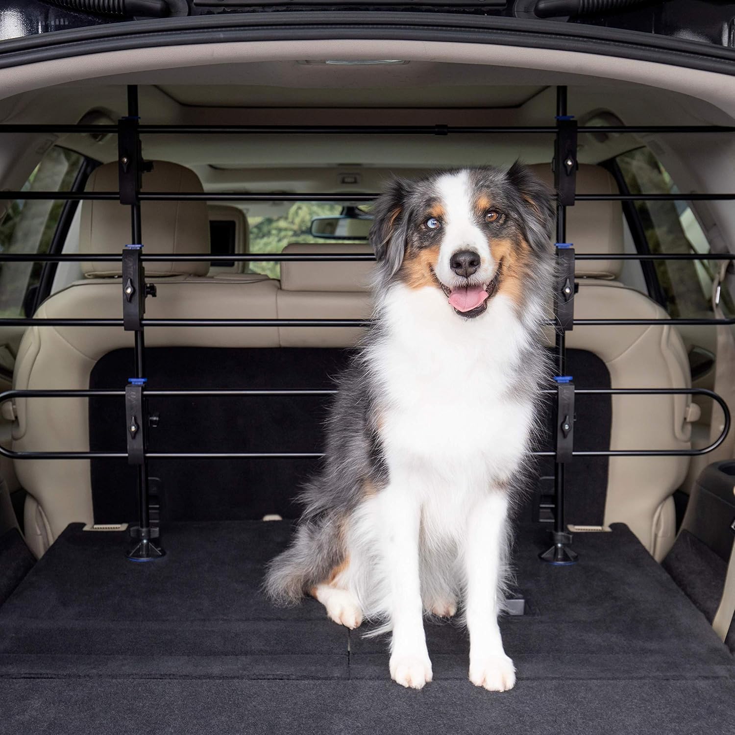 PetSafe Happy Ride Metal Dog Barrier - See-through Tubular Design - Fits Most Cars, Minivans and SUVs - Keep Pets in the Back - Easy to Store in Vehicles Pack of 2