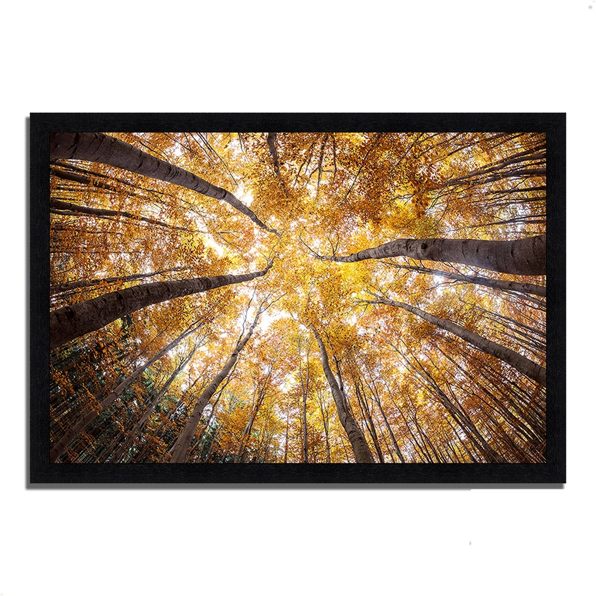 Tangletown Fine Art 26x22 x 38x22 Reach for The Sky Framed Photograph Print