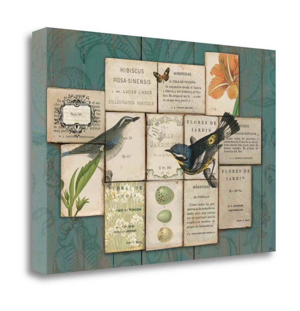 23x22 x 34x22 Birds of The Garden by Sue Schlabach Fine Art Giclee Print