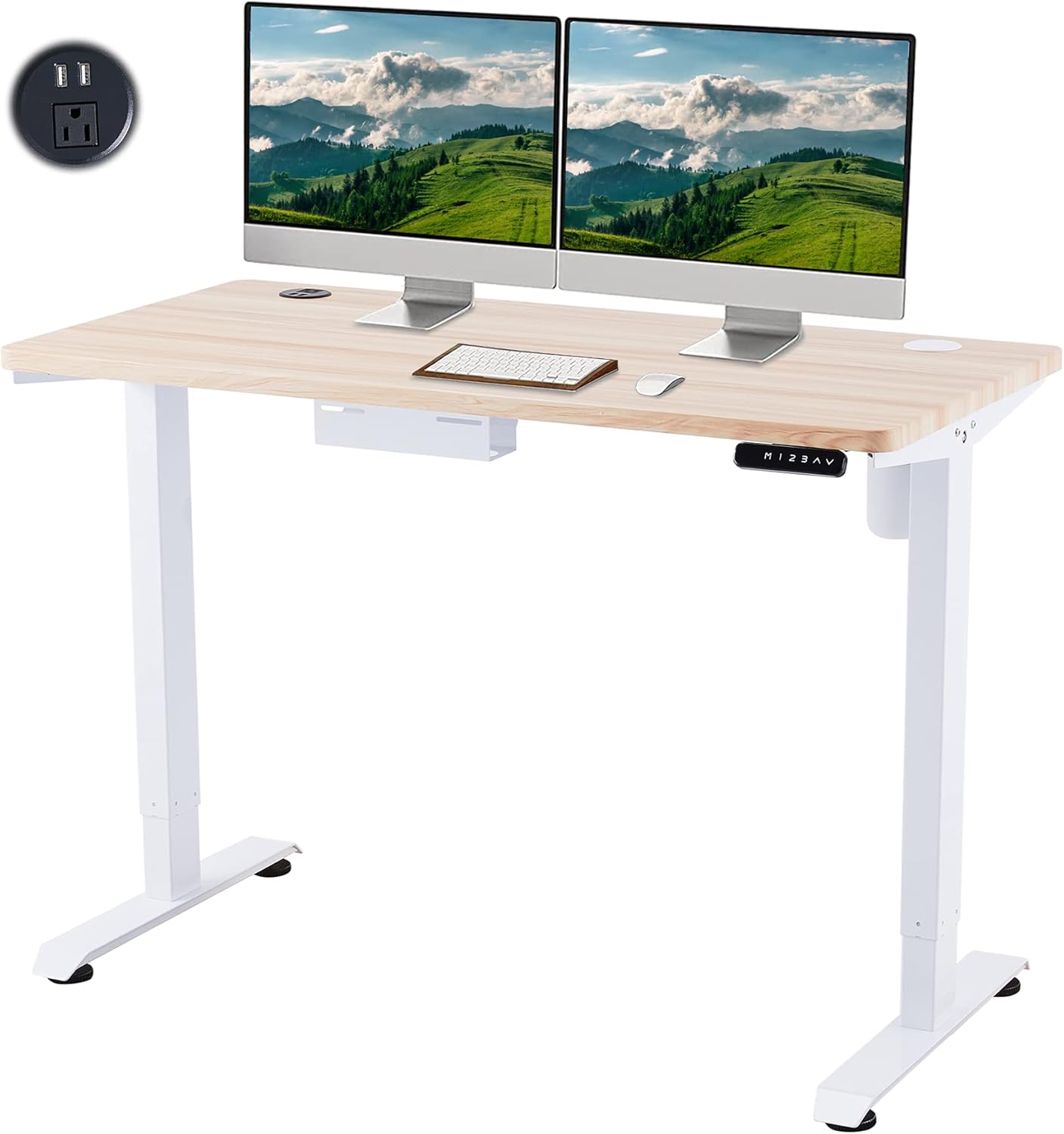 CO-Z Height Adjustable Computer Desk with USB Charging Station, 48x24 inch Motorized Sitting and Standing Desk for Home Office More, Electric Sit Stand Gaming Desk with Cable Management, Black