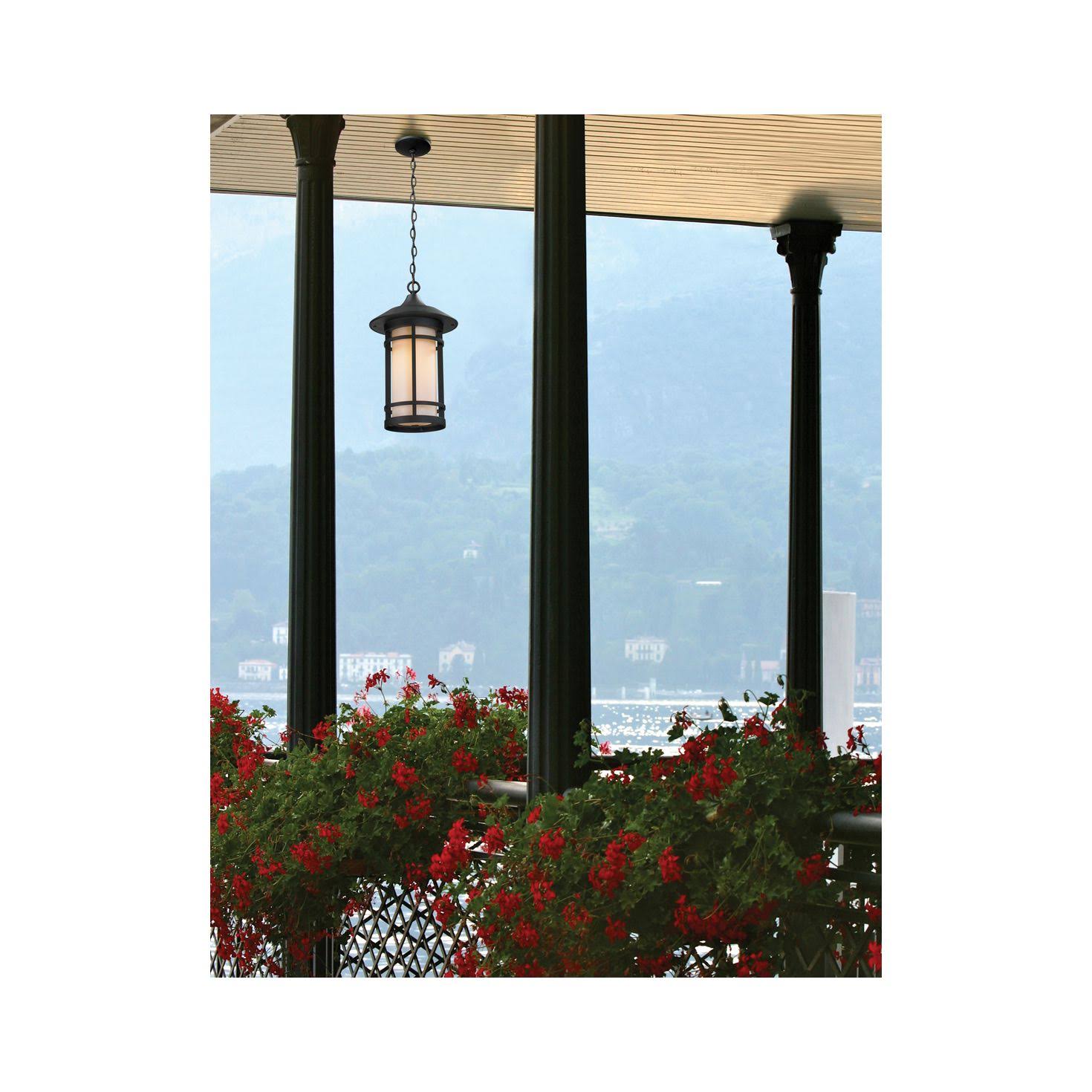 Z-Lite 527CHB-BK Woodland Outdoor Chain Light, Black