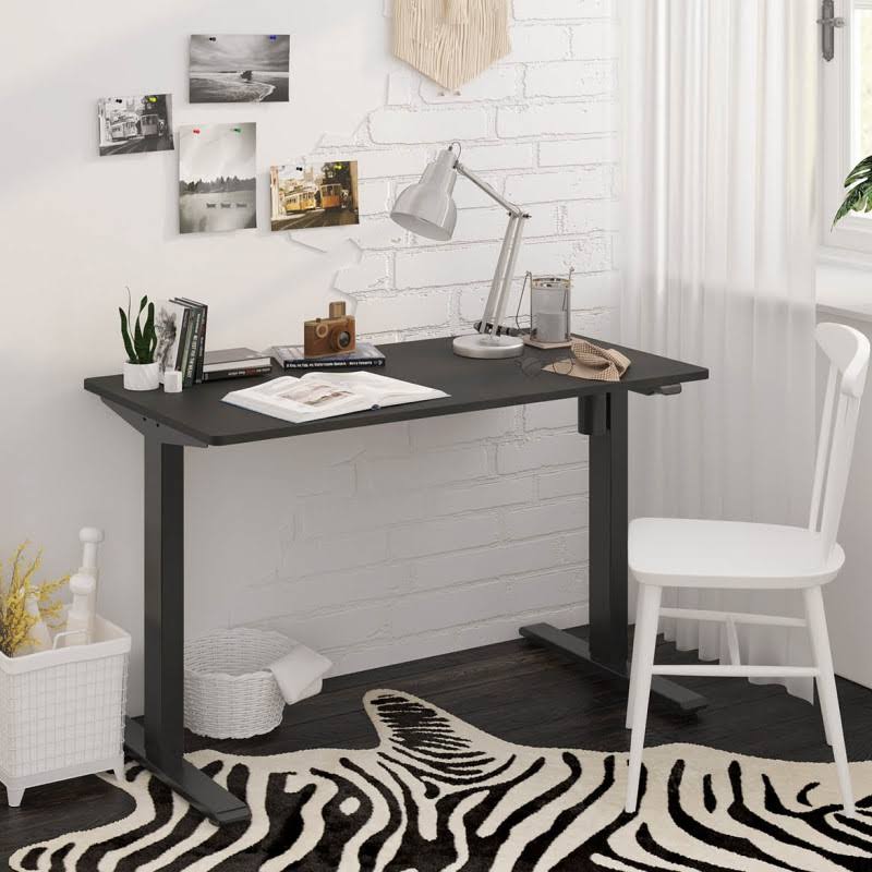 FlexiSpot Electric Height Adjustable Standing Desk EG1-48x22 W Black