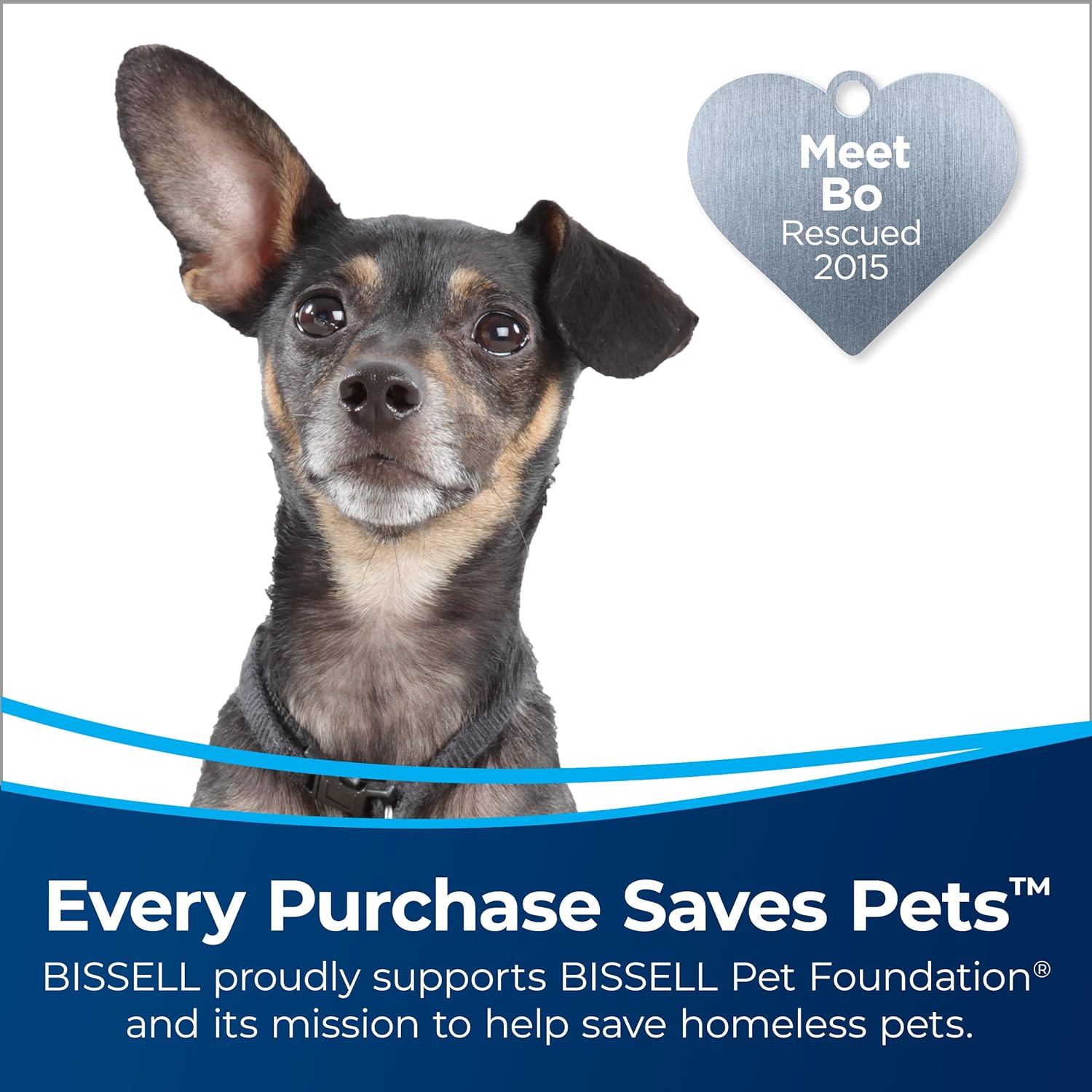 BISSELL CleanView Swivel Rewind Pet Reach Vacuum Cleaner, Black